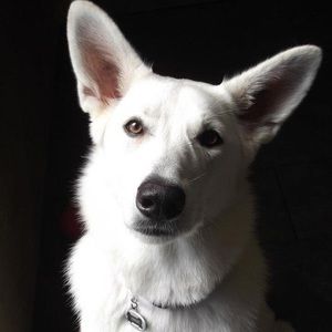 Meet your Posher, Suzanne